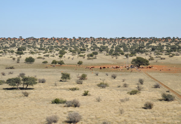 Low flight over Farm Olifantwater West, Namibia