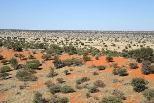 Red dune, Farm Olifantwater West, Namibia