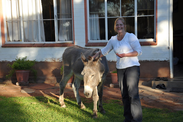 Stephanie and the Donkey