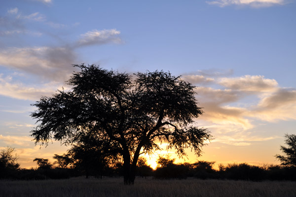 Sunset, Olifantwater West, Namibia