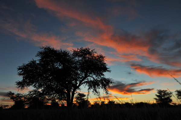 Sunset, Farm Olifantwater West, Namibia