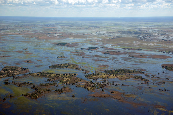 Eastern Caprivi - wetlands between the Zambezi and Chobe Rivers