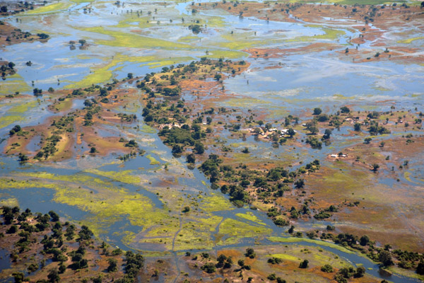 A Namibian village surrounded by flood waters, Eastern Caprivi (S17 41.4/E24 54.2)