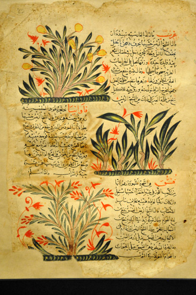 Different types of plants from the Marvels of Creation and their Singularities, 13th C. Syria