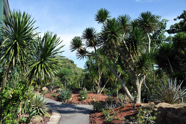 Sun Garden, Singapore Botanical Gardens