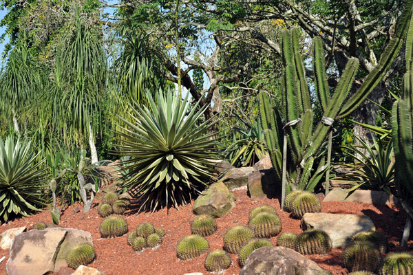 Sun Garden, Singapore Botanical Gardens