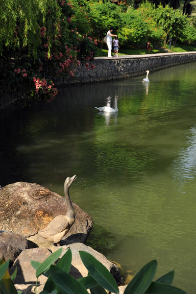 Swan Lake, Singapore Botanical Gardens