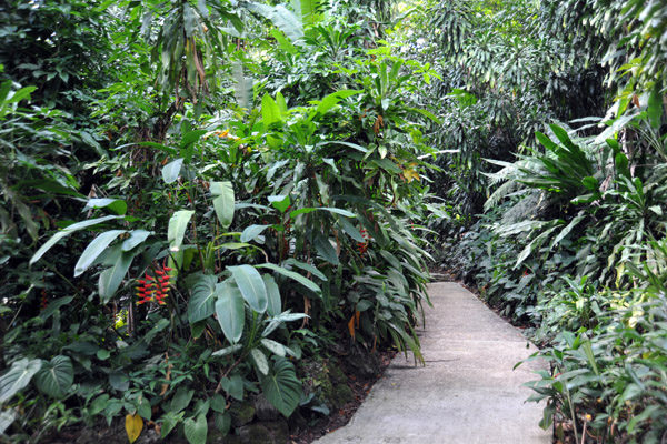 Walking path, Singapore Botanical Gardens