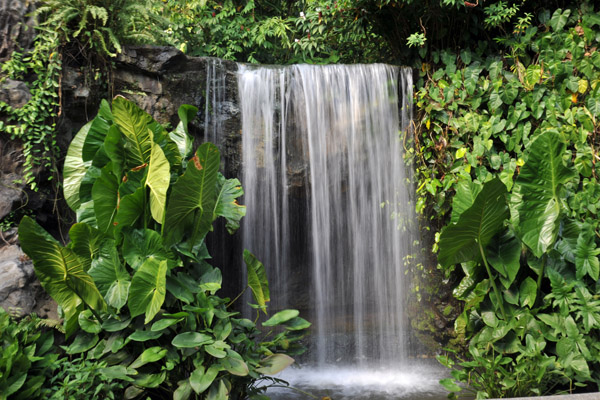 Waterfall, Singapore Botanical Gardens