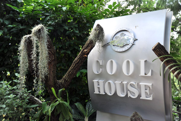Cool House, National Orchid Garden, Singapore Botanical Gardens