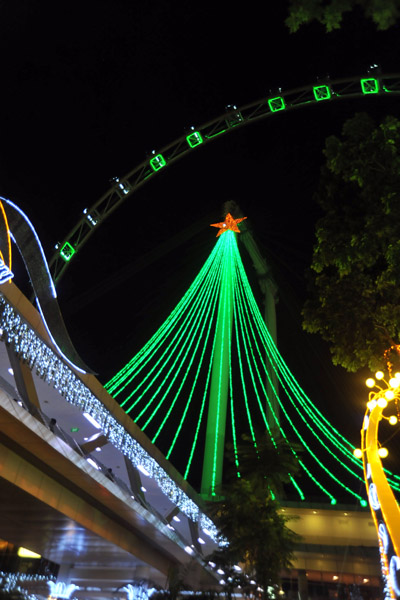 Singapore Flyer at Christmas