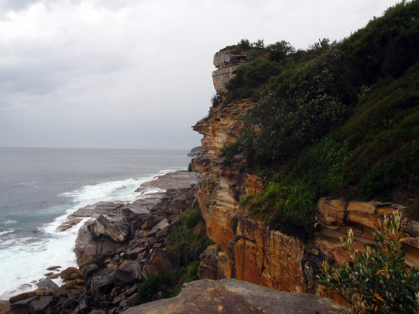 Cliffs of North Head, Manly
