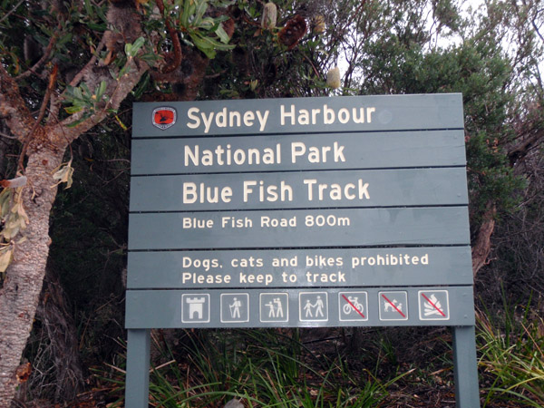 Sydney Harbour National Park - Blue Fish Track