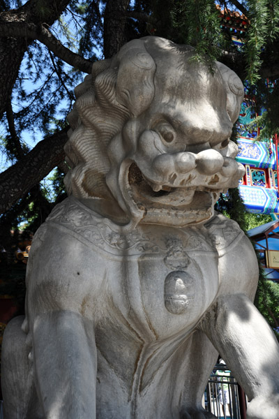 Guardian Lion, Lama Temple, Beijing