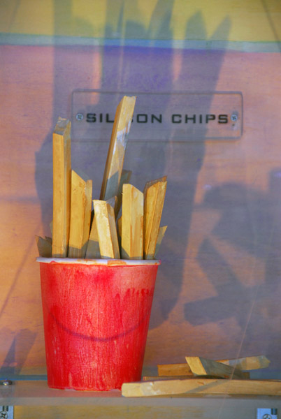 Silicon Chips