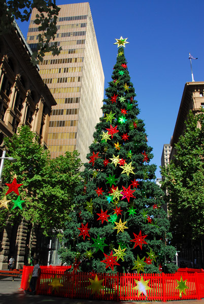 Christmas tree, Sydney