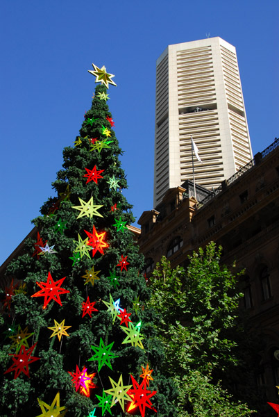 Christmas tree, Sydney