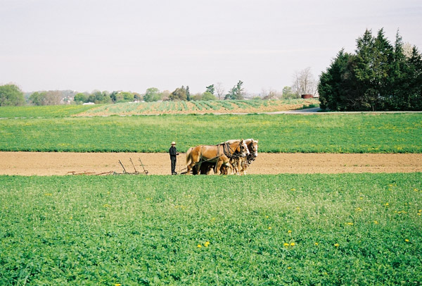 Amish Country, Pennsylvania