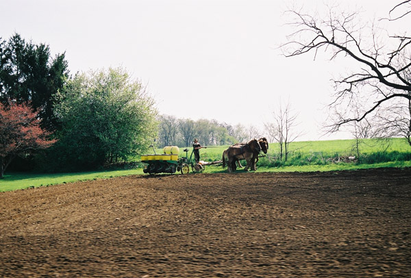 Amish Country, Pennsylvania