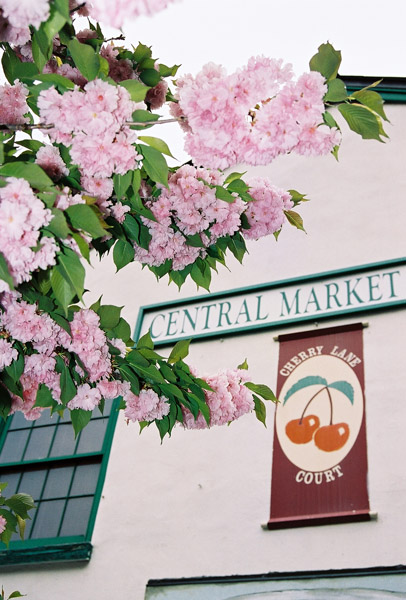 Central Market, York PA
