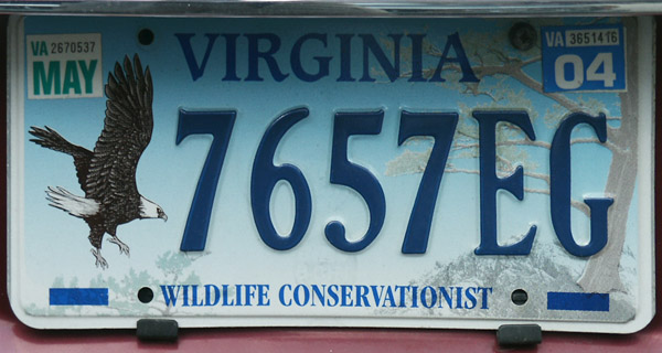 Virginia license plate - Wildlife Conservationist