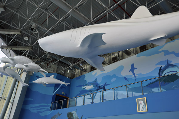 Models suspended from the ceiling at the entrance to Sharjah Aquarium