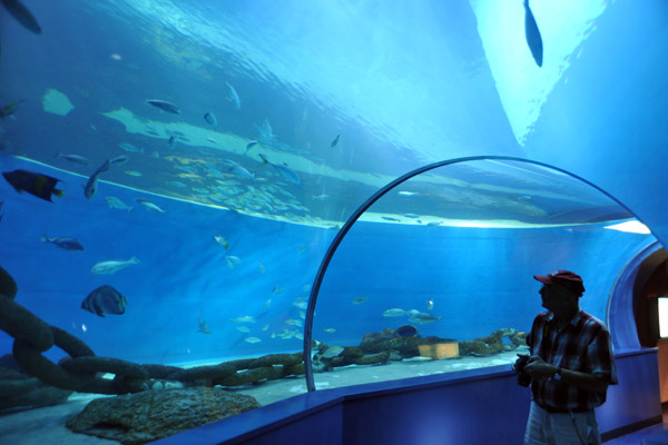 Tunnel - Sharjah Aquarium