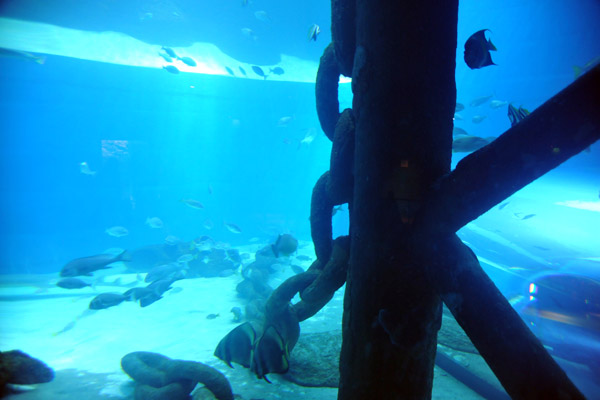 Sharjah Aquarium