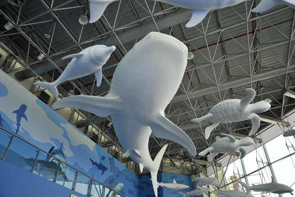 Lobby - Sharjah Aquarium