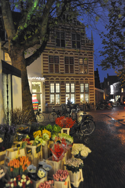 Hofje Zonder Zorgen, Grote Houtstraat, Haarlem