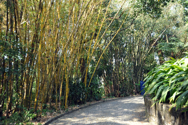 Parque das Runas - Santa Teresa