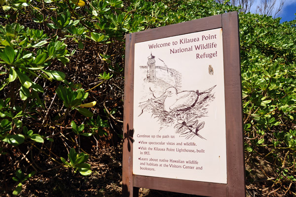 Welcome to Kilauea Point NWR