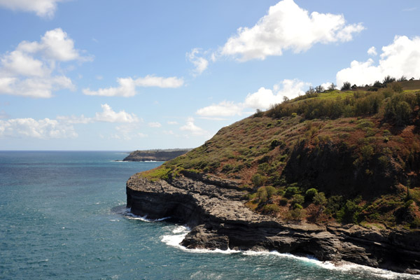 Kilauea Point, Kauai