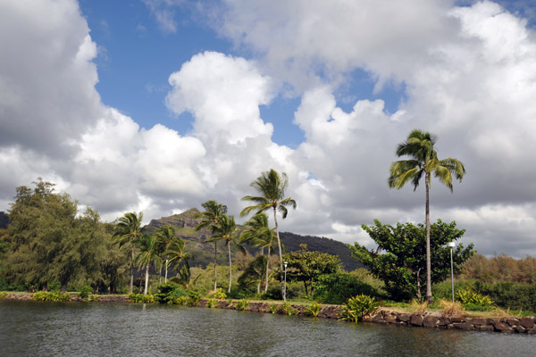 The Wailua River is the only navigable river in Hawaii