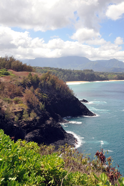 Kilauea Point, Kauai