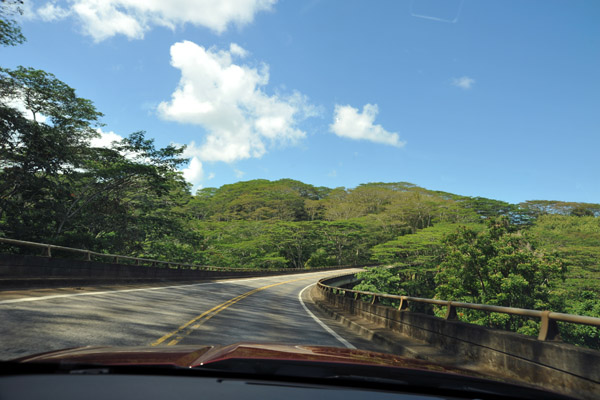 Kuhio Highway - north Kauai