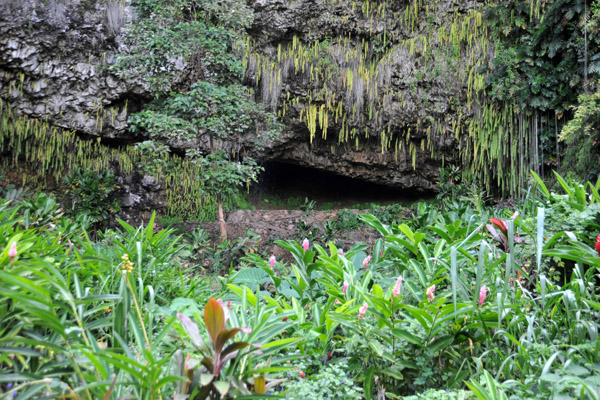 Ancient Hawaiians dedicated the Fern Grotto to Lono, god of agriculture, cultivation and healing