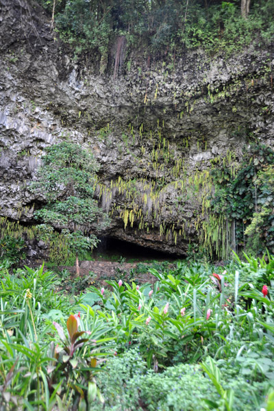 Fern Grotto - Wailua River State Park, Kauai
