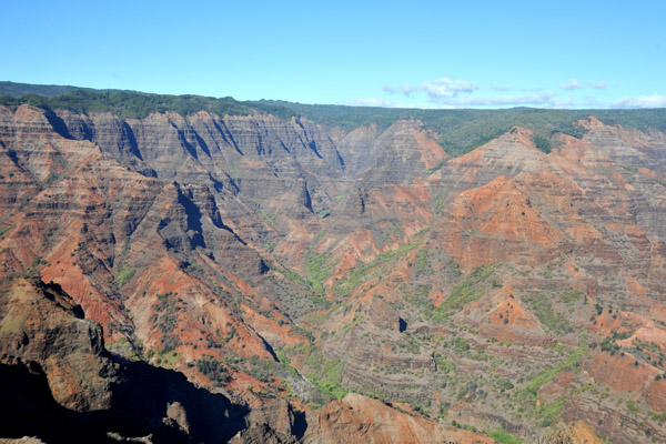 Waimea Canyon - around 10 miles long 