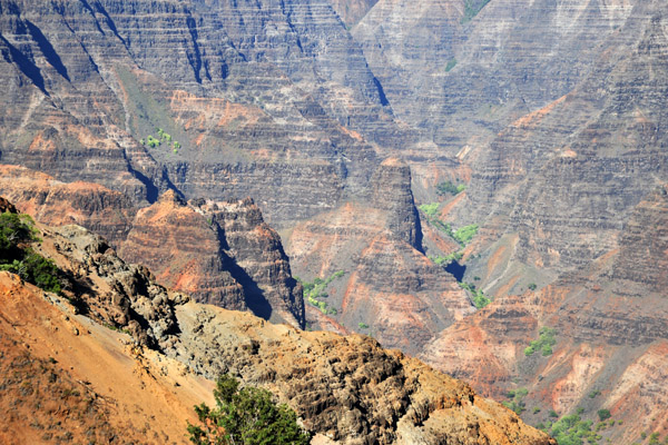 The interior of Waimea Canyon