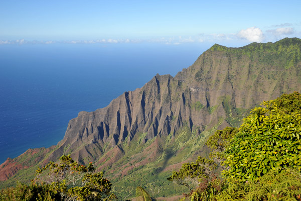 Kalalau Valley Lookout, Elevation 4000 ft