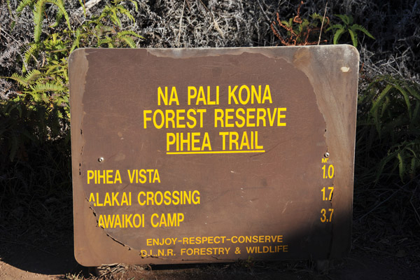 Na Pali Kona Forest Reserve - Pihea Trail