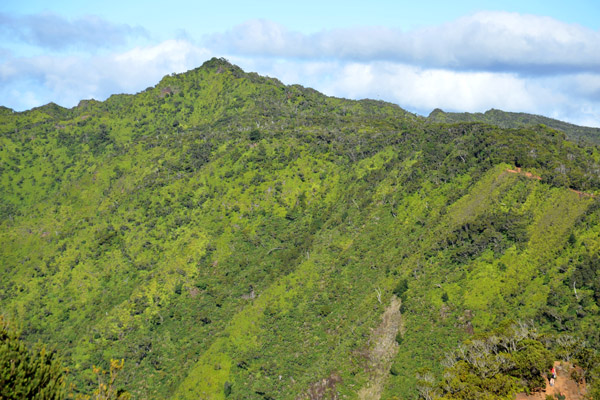 Na Pali Kona Forest Reserve, Kauai