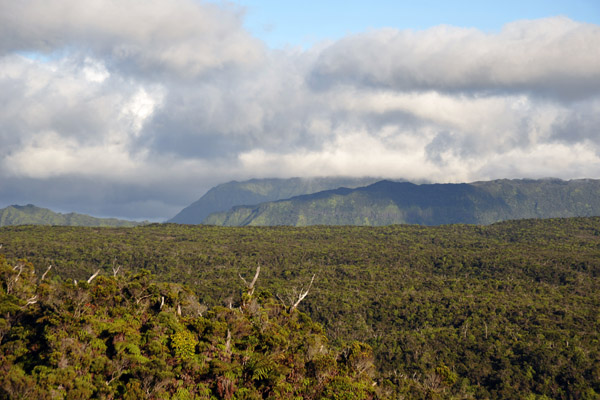 Clouds obscure Wai'ale'ale, Kauai's highest point