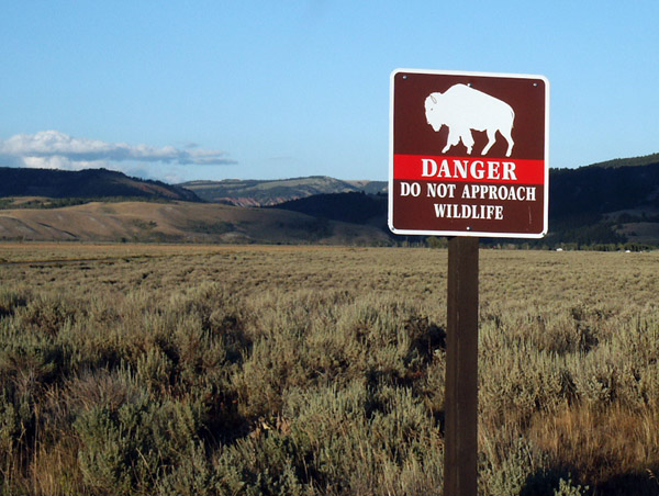 Danger - Do Not Approach Wildlife