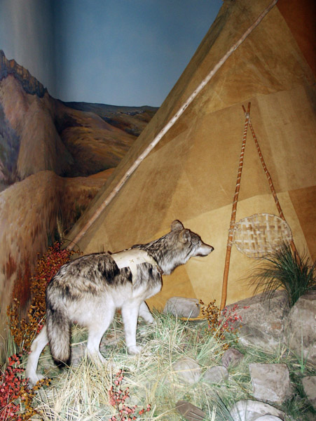 Head-Smashed-In Buffalo Jump Interpretive Centre