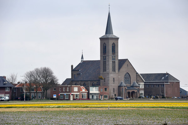 Hl. Hart van Jezuskerk across the bulb fields, De Zilk