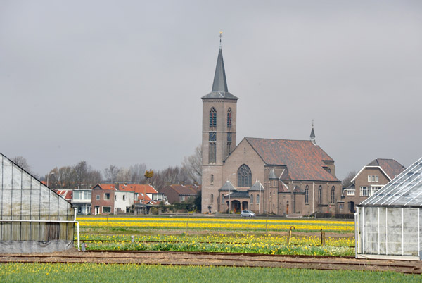 Hl. Hart van Jezuskerk across the bulb fields, Leidsevaart, De  Zilk
