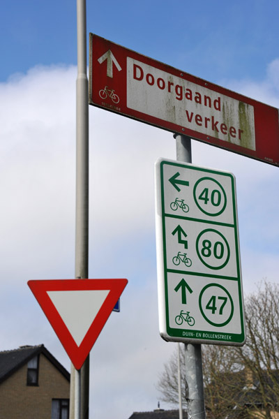 Cycling the Bulb Region - De Bollenstreek