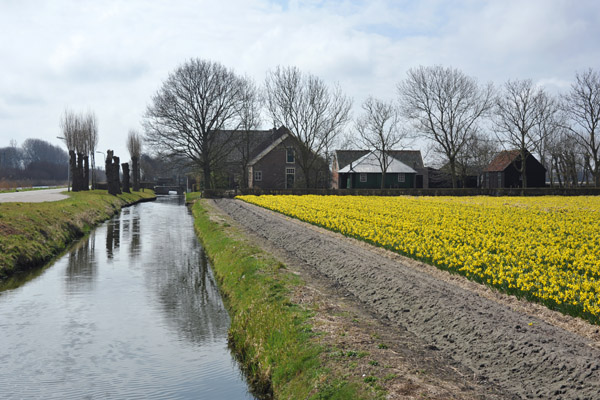 Leidsevaart, Haarlem-Leiden Canal, Noordwijkerhout 